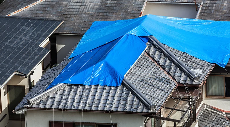 Active Roof Leaks