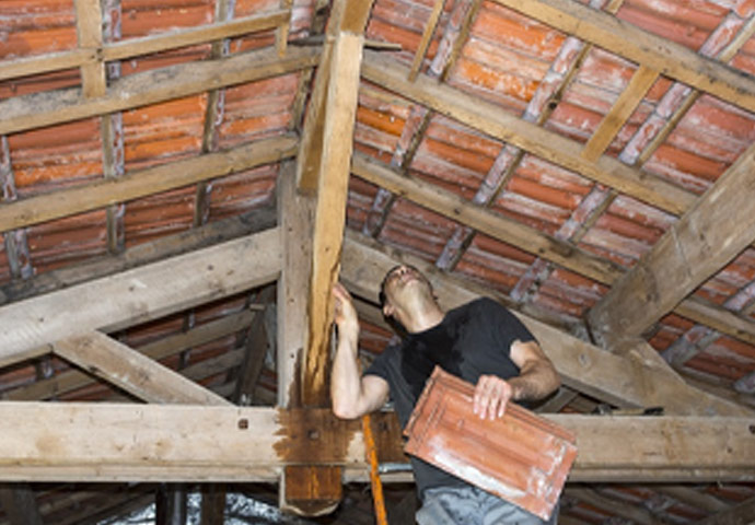 Attic Water Damage Calgary