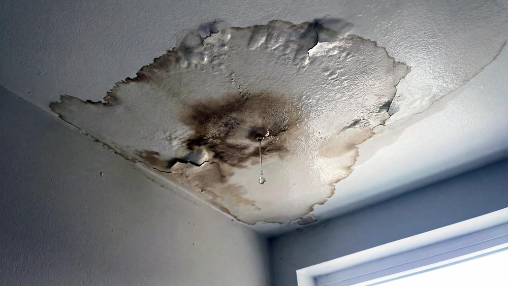 Ceiling Leak Signs
