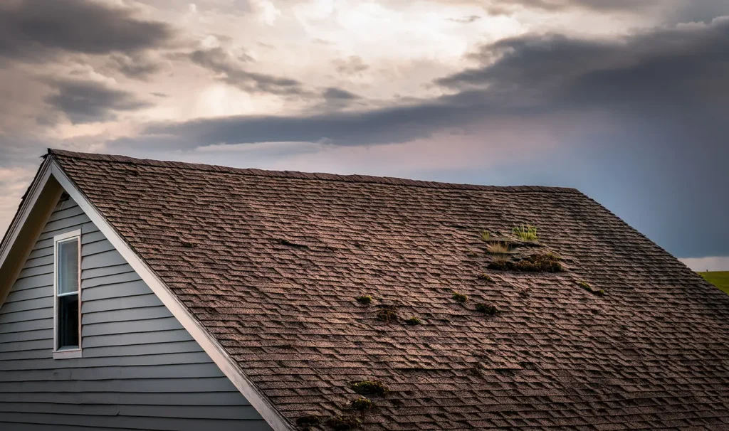 Roof Aging Signs