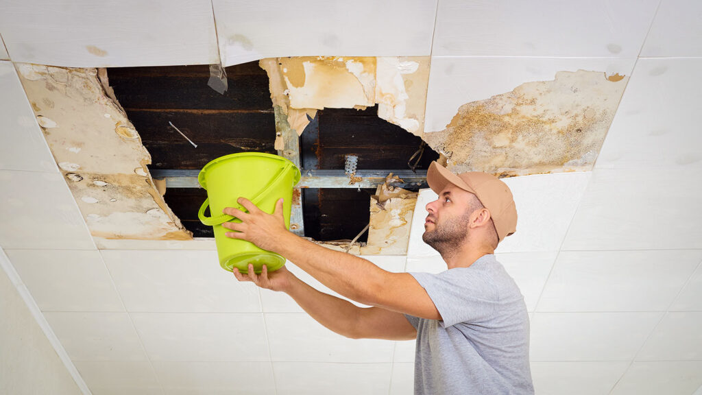 Roof Leak Smell