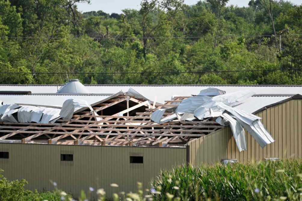 Wind Damage Signs