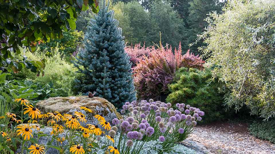 deer resistant plants