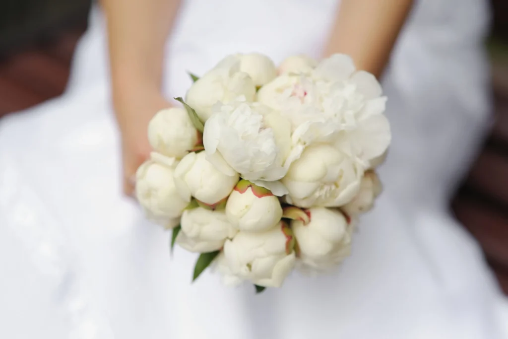 flower bouquet peonies