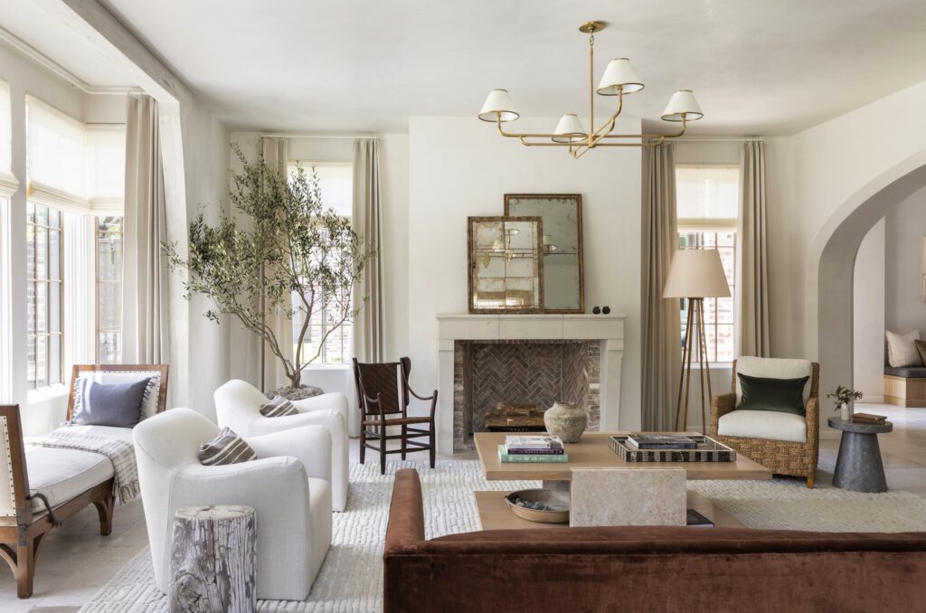 indoor olive tree
