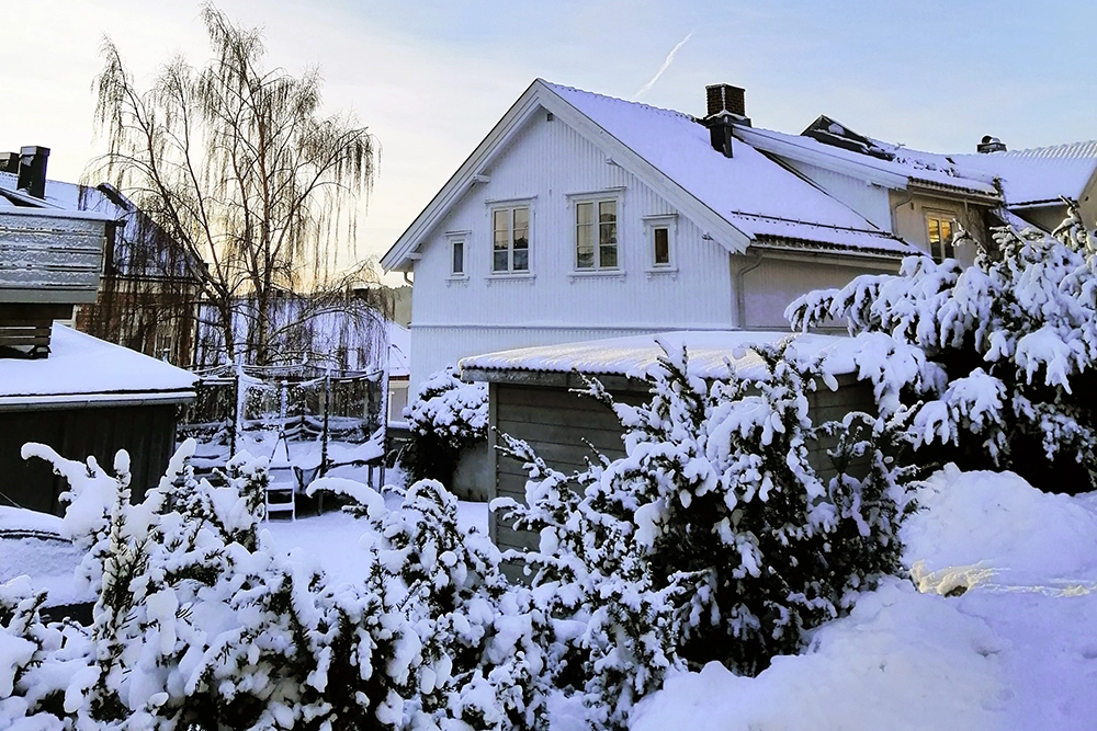 roof care tips winter